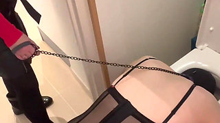 Head in the Toilet...