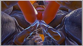 Furry Monsters Fucked My Wife, Double Anal And Double Penetration