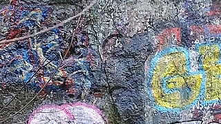 Come Pee with Me! a Compilation