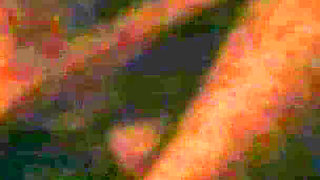 A Colleague From My Work Discovered My Videos and Asked to Participate - Part 1