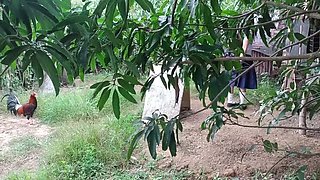 Stepdaughter Gets Punished Before School - Tight Teen Filipina Moaning