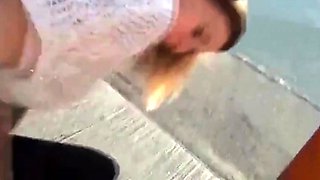 ffentlich Bus Anal in sterreich