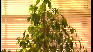 The bride Jessica Rizzo tastes a young pussy before the marriage