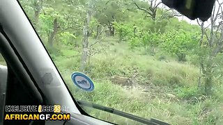 Horny Ebony Girlfriend Deep Throats Big White Cock On Safari Trip