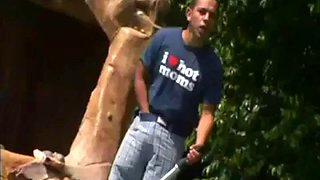 Mikela Kennedy by a swimming pool: Blowjob, Doggy  Cowgirl Porn