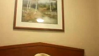 Pregnant BBW With Big Tits Masturbates on Webcam