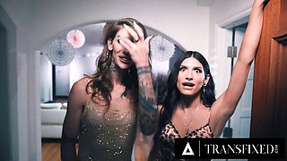 Transfixed - blowjob sex