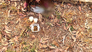 My was taken to the park and fucked, my is very good, it was a lot of fun.