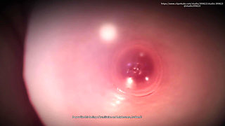 B033 Ntr Husband Locked in Cage by Wife to Watch Him Having Sex with Lover