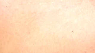 Hot Indian Desi Step Brother in Law and Sister in Law Hot Sex