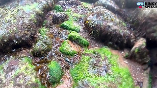 Mermaid Spotted! Wet Encounter in Lost Cove