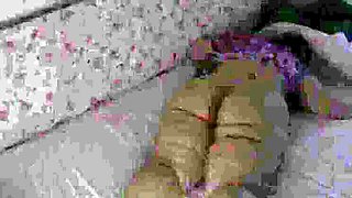 Mature Zina Gabon Morning Sex in Dress - BBC Lover Sniffs Pussy & Feet