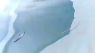 Flashing My Dick in Front of a Girl in Public Swimming Pool and Helps Me Masturbate - Misscreamy