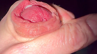 Solo Dutch Cumming Hard