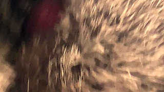 Rex rabbit fur stroke