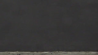 Ass Drop, Facesitting, Human Trampoline, Face and Dick Trample, Foot Slap, Masochist Turned Human Rug During Mistress Exercise