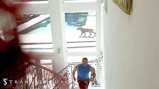 Big-Tits Blu And Foxxy Jewelz Take Pierce Paris Big Cock For A Hardcore Anal Pounding Then Blast