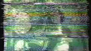 Wild Perverted Sluts