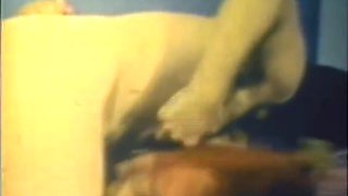 The Lustful Bed - Candy Samples