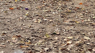 My Neighbor Is Caught Masturbating in Public