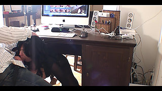 Backoffice