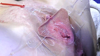 3 Licking Pussy Spread Far From Very Close