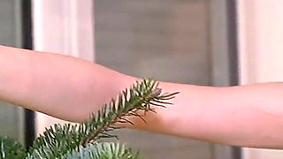 Erotic Christmas Tree Decoration