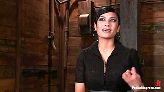 Free for All at the Steak House