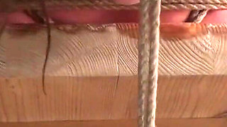 Busty MILF Denise hogtied bitgagged titgrabbed and what not